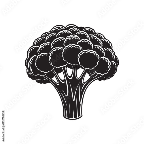 broccoli on a white background