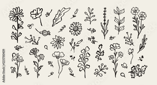 Collection abstract  flowers hand drawn brush ink stroke. Floral plants elements drawing charcoal, pencil, chalk style. Sketch hand drawn silhouette floral plant, leaf. Trendy vector illustration.
