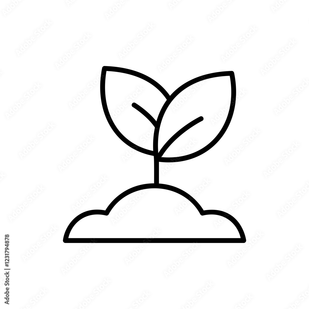 Plant Sprout Plant Sprout