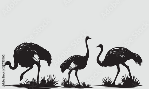 ostrich illustration and silhouette