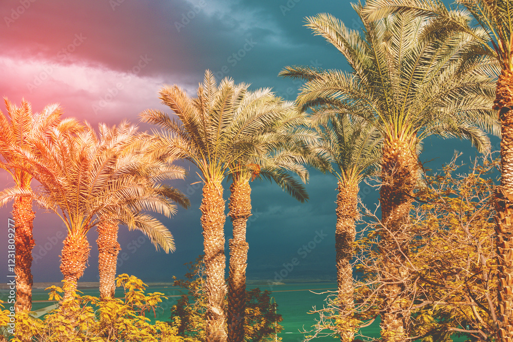 Row of tropical palm trees against the dramatic sunset sky. Dead Sea shore. Silhouette of tall palm trees. Tropical evening landscape. Beautiful tropical nature