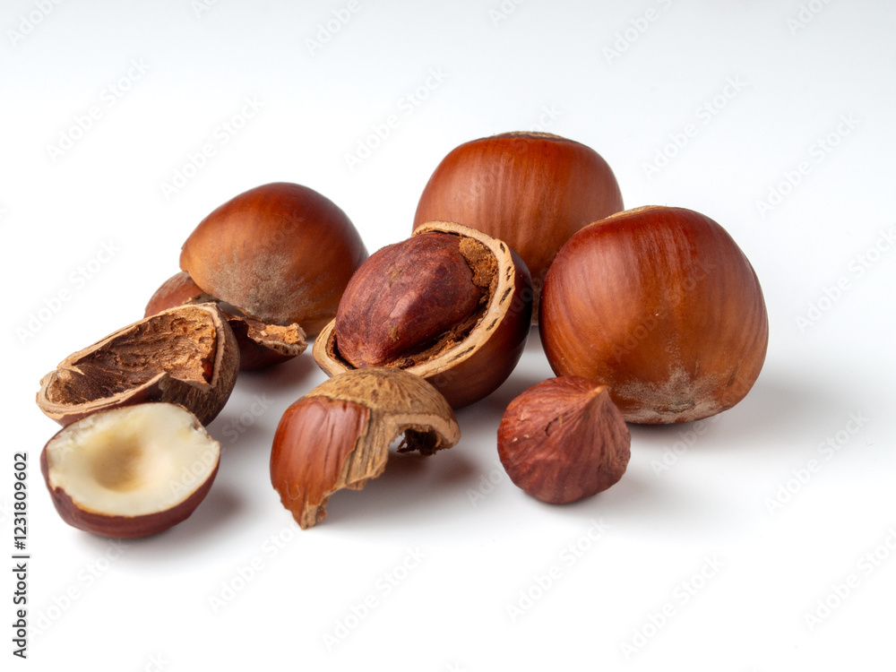 Hazelnuts in their natural state surrounded by shells on a clean, white background Hazelnuts in their natural state surrounded by shells on a clean, white background