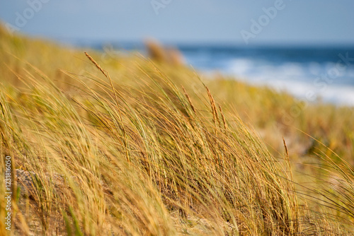 Obraz na płótnie Słoneczne wakacje w Mimizan-Plage, Aquitaine (France) w salonie