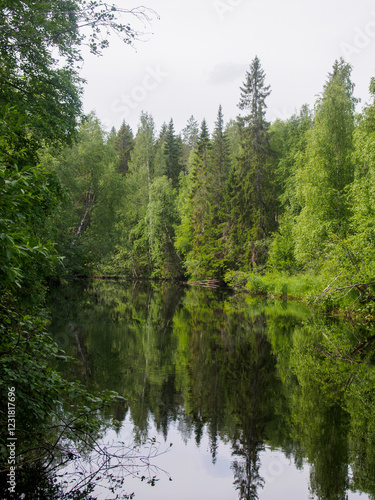 Tranquil reflections on a still river surrounded by lush green forests