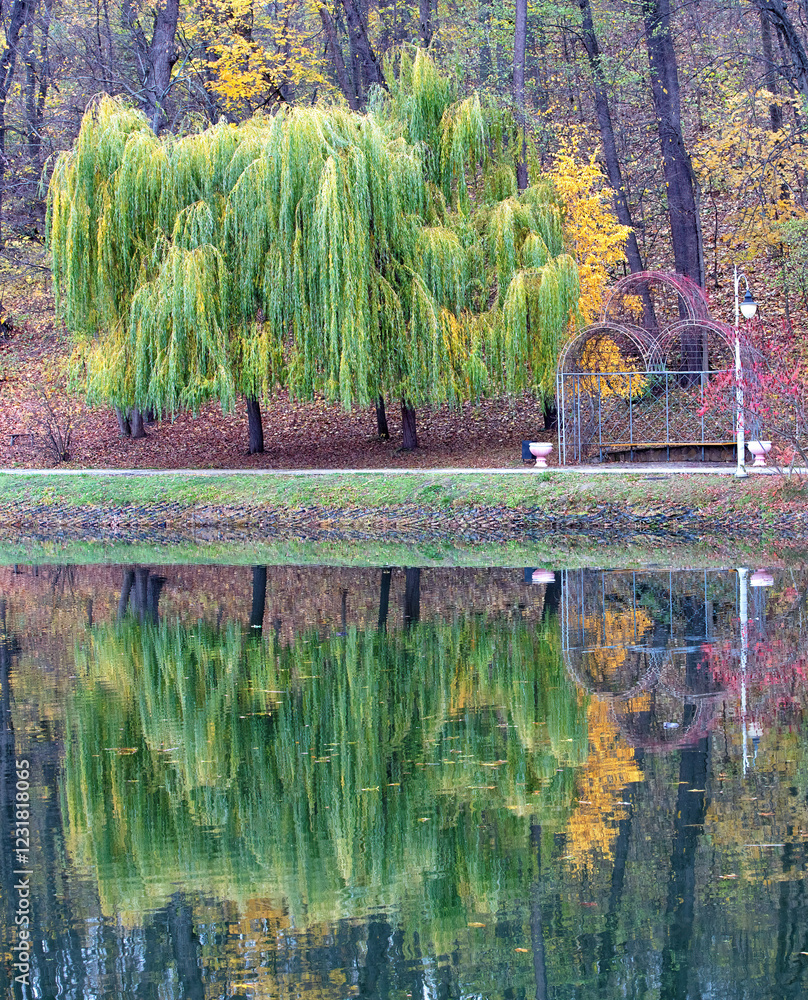 Reflective serenity at a tranquil lakeside in autumn hues and lush foliage