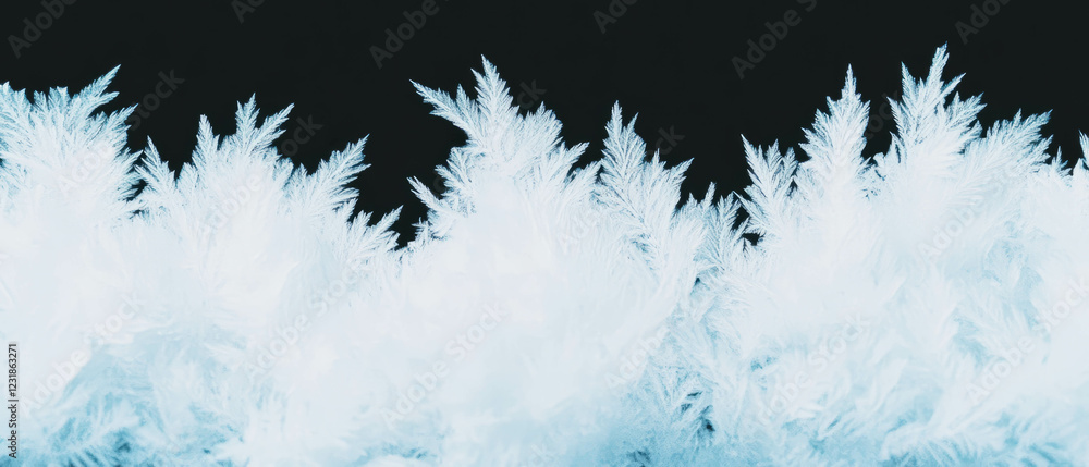 Obraz premium Frozen fractal texture with icy colors on a dark background creating a cold atmosphere