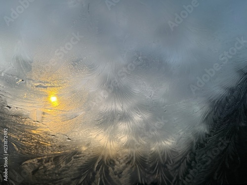 sunrise in the forest