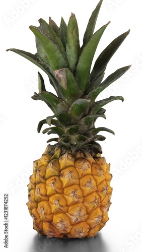 ripe pineapple portrait photo