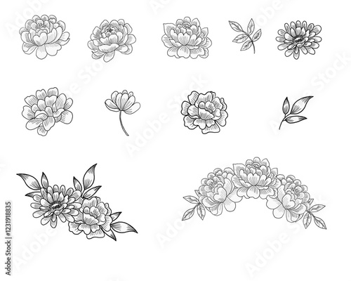 Hand Drawn Dahlia and Rose Flower