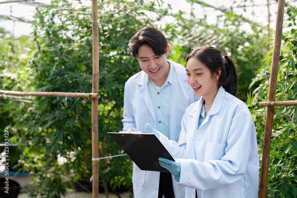 Joyful scientists reviewing research findings on cannabis in a greenhouse. Joyful scientists reviewing research findings on cannabis in a greenhouse.
