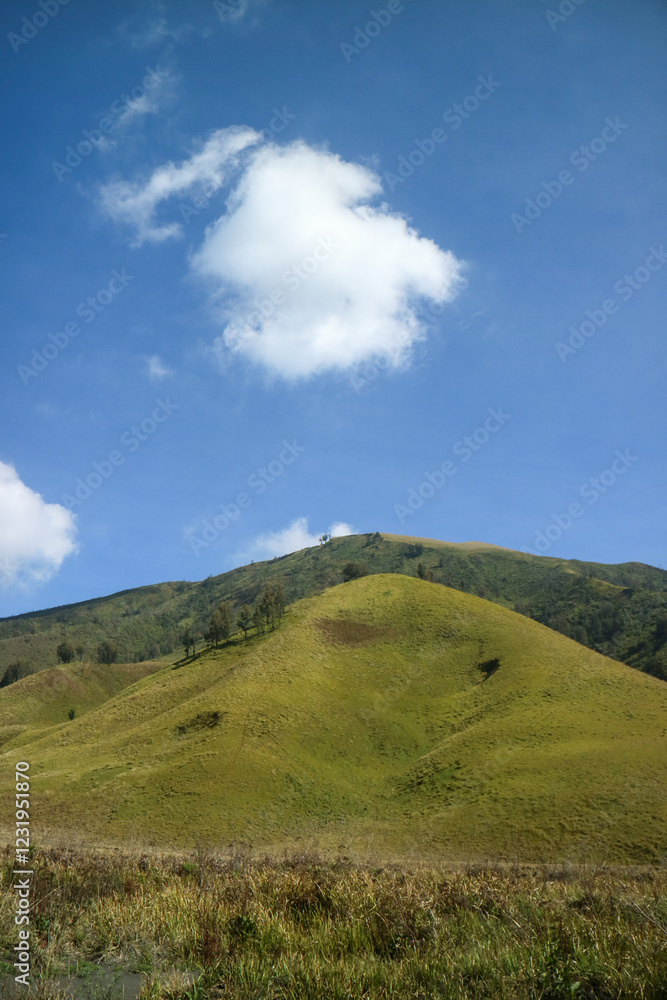 grass savannah with hills and blue sky grass savannah with hills and blue sky