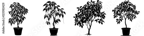 Different stages of growth for indoor plants displayed in various pots in a minimalist style setting