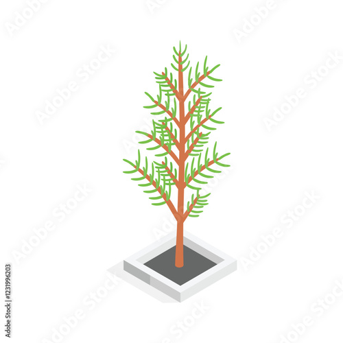 An eye catching isometric style icon of a small tree in a square planter
