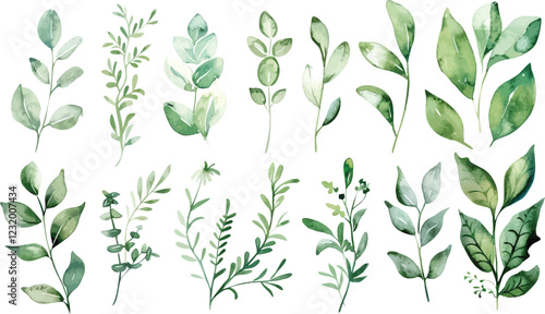 Set of green watercolor leaves on isolated background. Green leaf branches collection. Watercolor floral set. Leaf branches for greetings, fashion, eucalyptus, olive, cloth, print, invitation, card	
