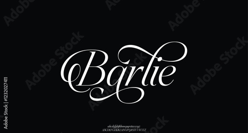 Luxury beauty font alphabet logo. Typography beautiful fashion elegant classic letters serif italic fonts wedding vintage retro casters logos. vector illustration
