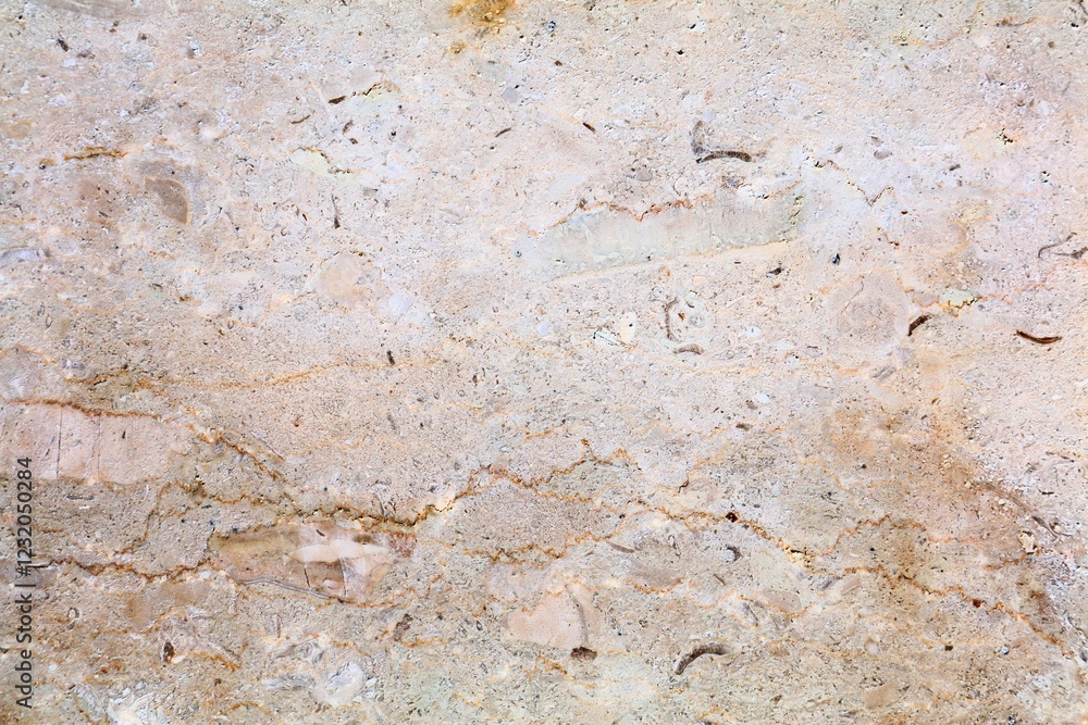 Honed fossil marble slab background Honed fossil marble slab background