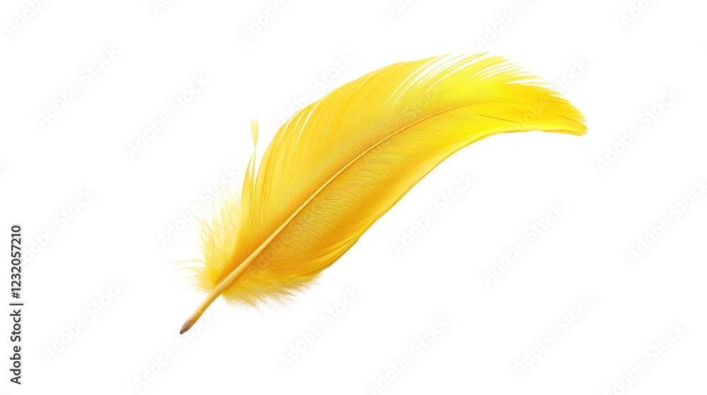 Fototapeta premium Bright yellow feather floating on transparent background