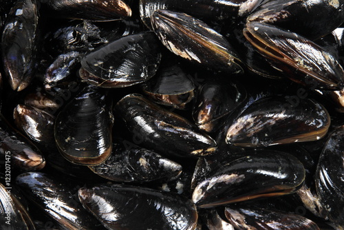 fresh mussel isolated on white background. Fresh mussels in a plastic box