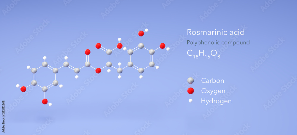 rosmarinic acid molecule, molecular structure, polyphenolic compound, 3d model, Structural Chemical Formula and Atoms with Color Coding rosmarinic acid molecule, molecular structure, polyphenolic compound, 3d model, Structural Chemical Formula and Atoms with Color Coding