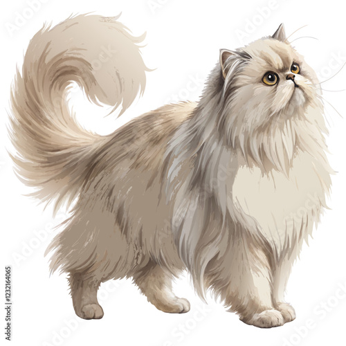 Persian cat with long silky fur and flat face, standing full body on a white background, refined and popular domestic pet breed
