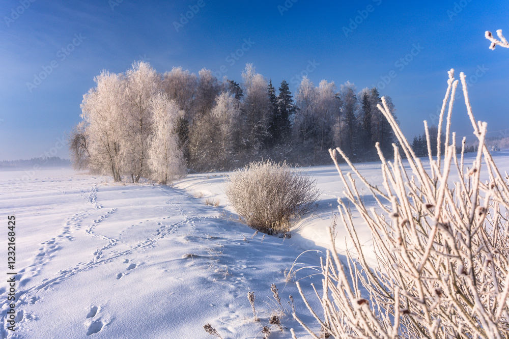 Beautiful landscape of the frozen meadow with trees in Podhale at winter. Poland Beautiful landscape of the frozen meadow with trees in Podhale at winter. Poland