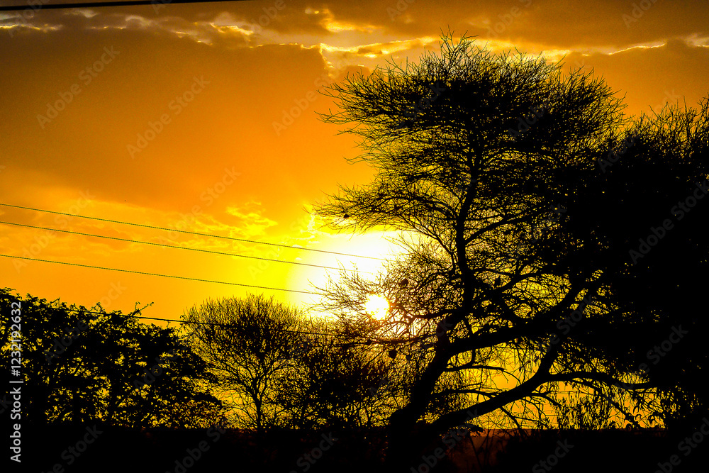 Naklejka premium sunset in the field