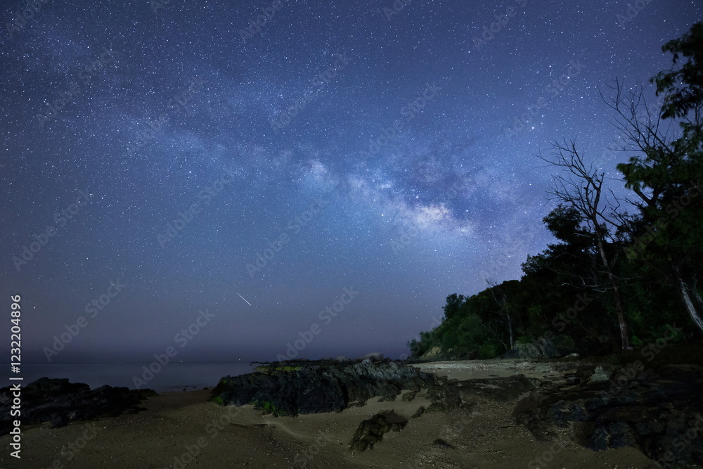 沖縄の海辺の森と天の川と流星