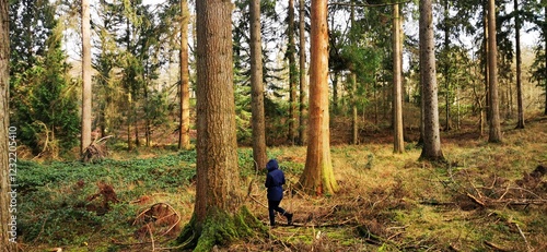 Forest bathing Shinrin-yoku