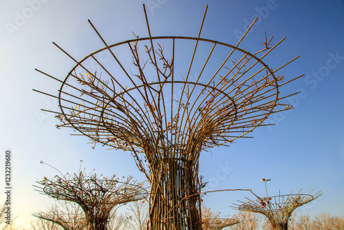 round rose trellises under blue sky on winter day