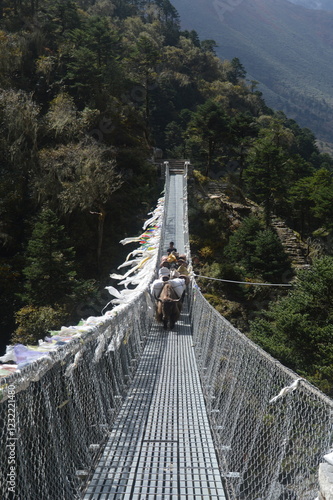 Wallpaper Mural The beautiful scenery along the Everest Base Camp Trek in the Khumbu Valley, Nepal Torontodigital.ca