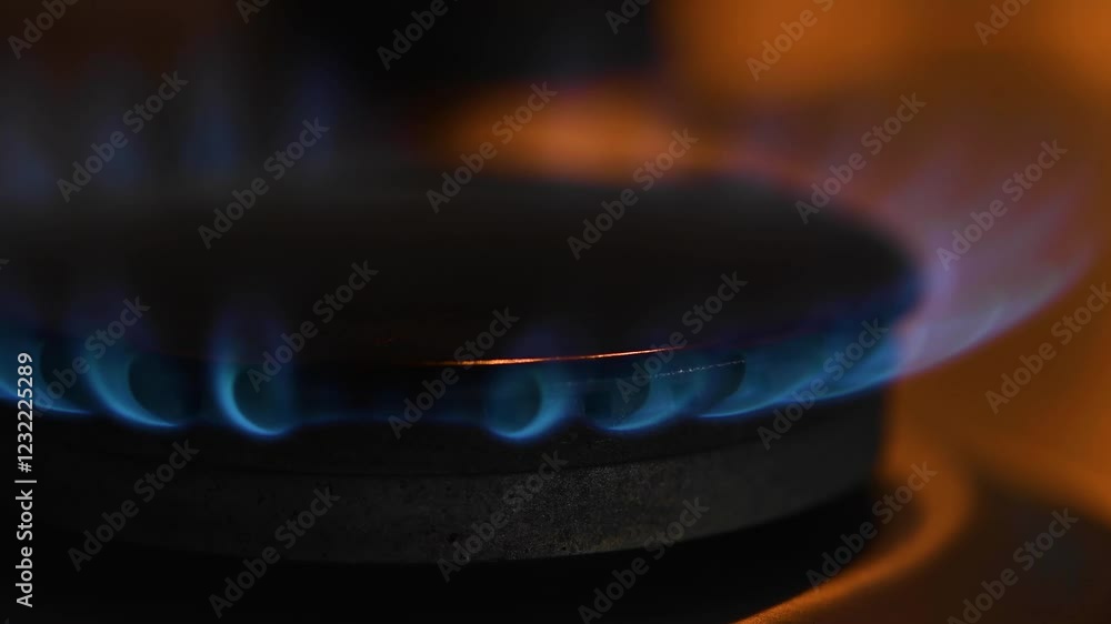 Natural Gas. High prices of natural gas. Blue flames of gas burning from a kitchen gas stove burner Natural Gas. High prices of natural gas. Blue flames of gas burning from a kitchen gas stove burner