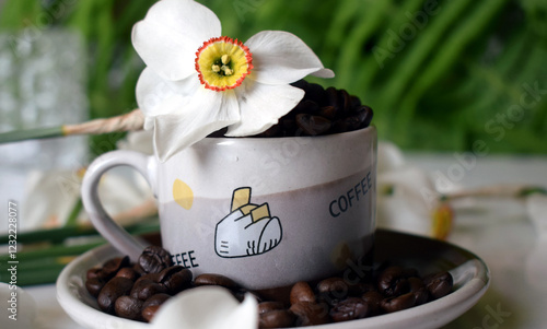 Daffodils bloom from March/April to June. The flower consists of six white petals and a tube called a corolla. Daffodils have an intense, pleasant sweet scent that attracts insects. A cup of dark coff