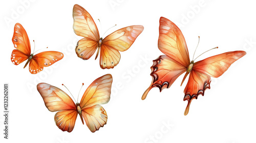 Orange butterflies in watercolor style isolated on white or transparent png 
