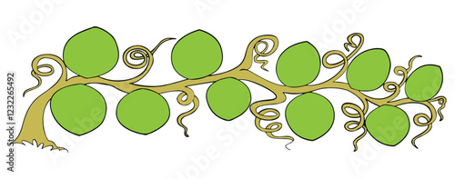 Climbing plant isolated on white background