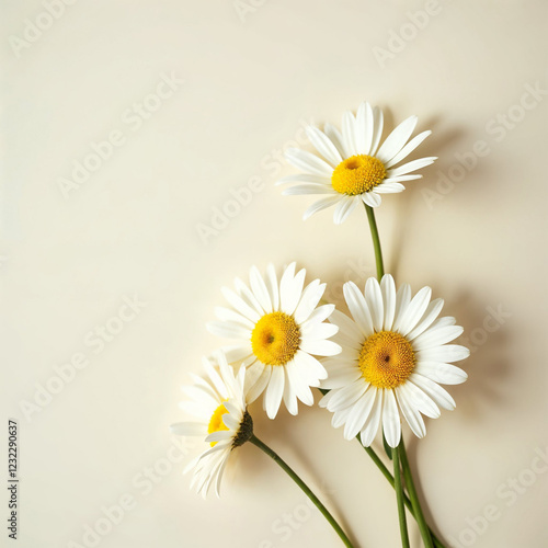Wallpaper Mural Bouquet of daisies in a glass vase Torontodigital.ca