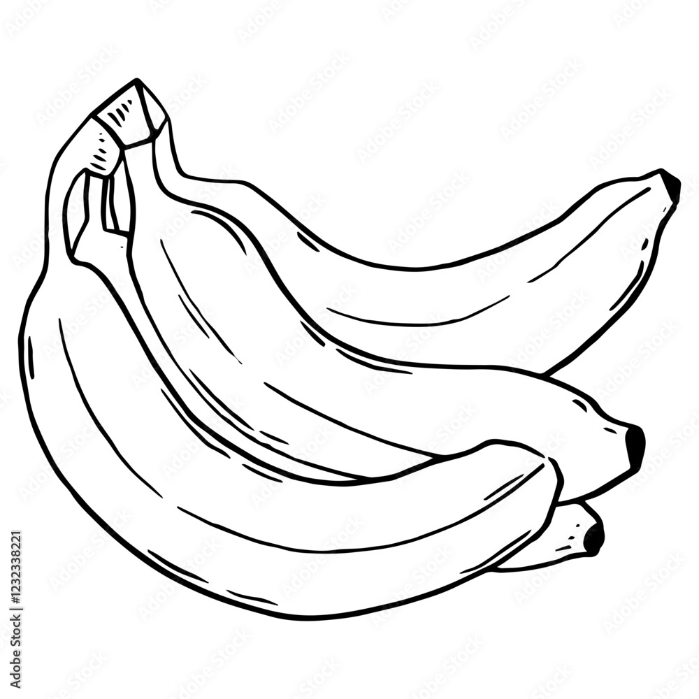 Banana. Bananas bunch Hand drawn outline tropical fruit with peel, whole banana. Sketch Vector illustration. Banana. Bananas bunch Hand drawn outline tropical fruit with peel, whole banana. Sketch Vector illustration.