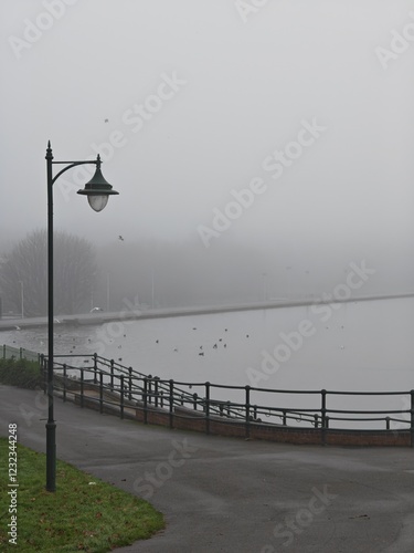 seagulls on the pier