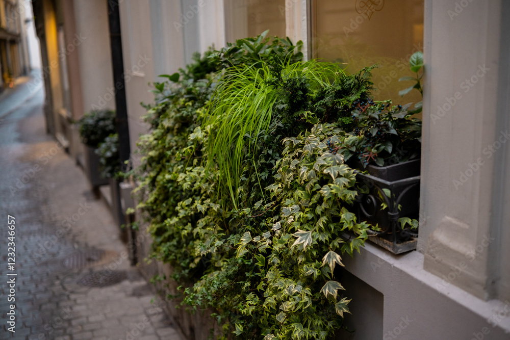 Fototapeta premium Green plants adorning a quaint alley in a historic city neighborhood