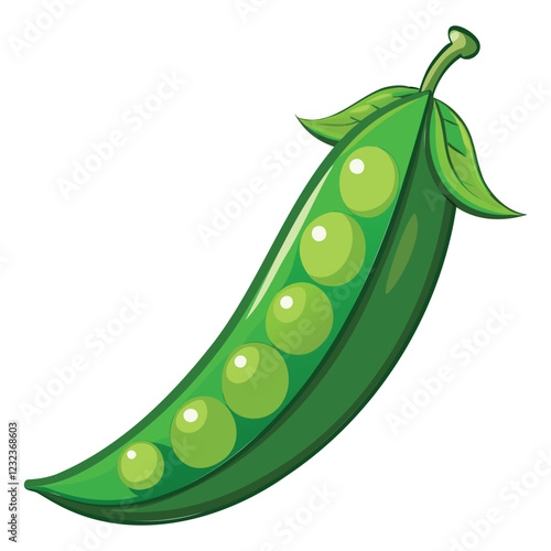 Fresh Green Pea Vector Illustration
