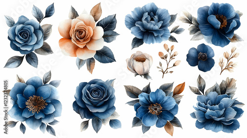 Fototapeta Naklejka Na Ścianę i Meble -  Watercolor Blue and Orange Roses Floral Design Elements