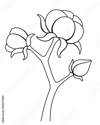 Cotton stalk with open bolls with cotton fluff - vector picture for coloring. Outline. Cotton fiber, natural material of plant origin	