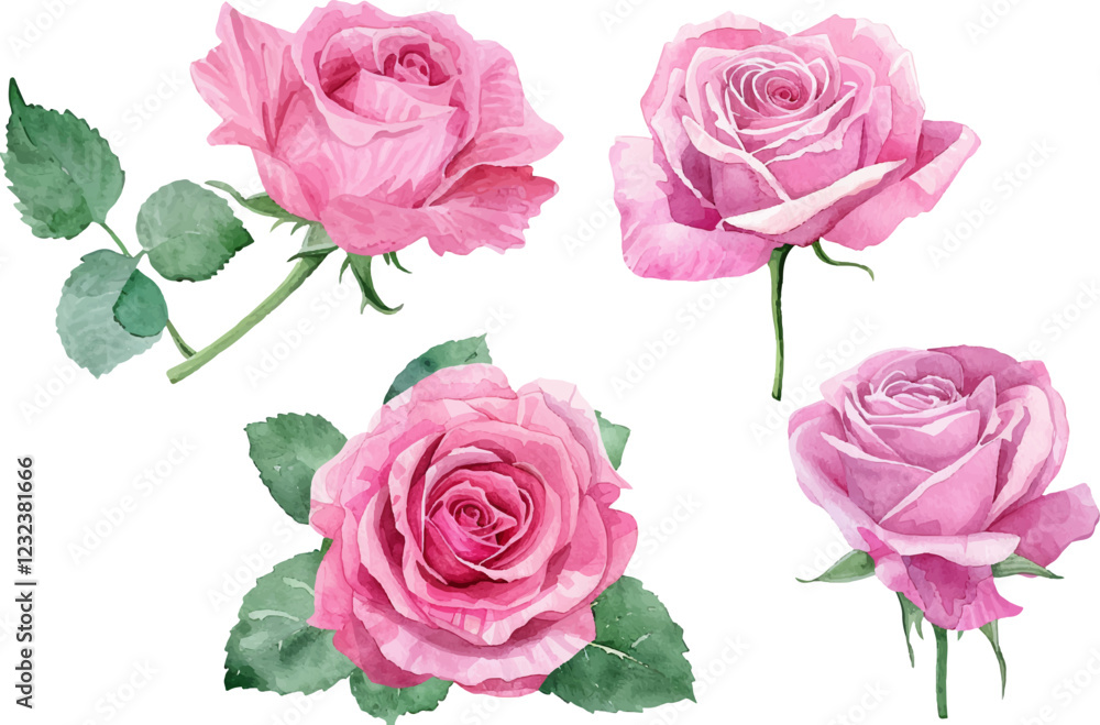 pattern of roses pattern of roses