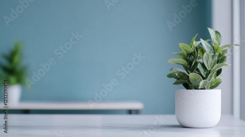 A small green plant in a white pot sits on a table against a soft blue wall, adding a touch of nature and serenity to the room.