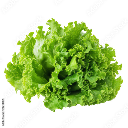 Fresh, vibrant green lettuce with frilled edges, showcasing its crisp texture and healthy appearance. photo