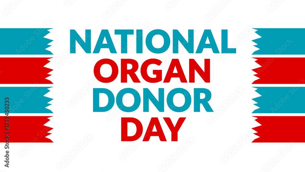 National Organ Donor Day text with side lines on a White background. Which is observed every year in February to celebrate and wish National Organ Donor Day. National Organ Donor Day text with side lines on a White background. Which is observed every year in February to celebrate and wish National Organ Donor Day.