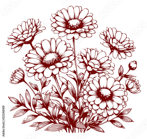 Vintage Sketch Daisy Flowers. vintage flowers on White Background 