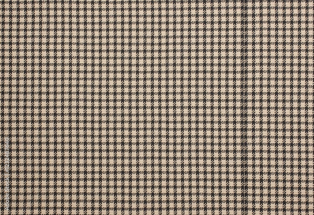 Refined Check Pattern, Thin Simple Lines, Textural Elegant Design, Beige Charcoal Tonal, Classic Graphic, Subtle Texture, Sophisticated Pattern, Timeless Style.
Refined Check Pattern, Thin Simple Lines, Textural Elegant Design, Beige Charcoal Tonal, Classic Graphic, Subtle Texture, Sophisticated Pattern, Timeless Style.