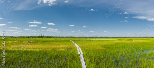 Ilmakkiaapa Bird Watching Trail in Lappland, Finnland,