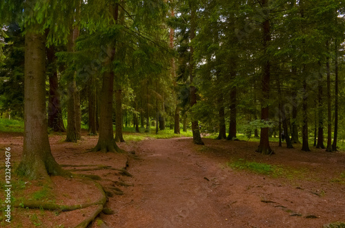 trail in Stepanavan Dendropark (Gyulagarak, Lori province, Armenia)