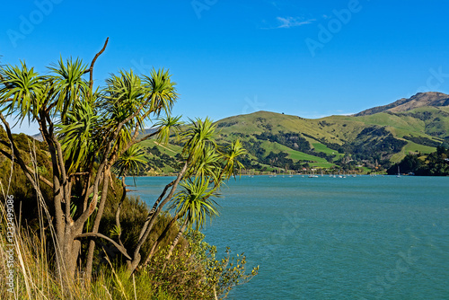 Onawe Peninsula, Akaroa, New Zealand photo